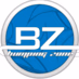 Bumping Zone logo