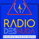 Radio Desnuda logo