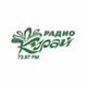 Радио Курай logo