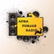 Apna Punjab Radio USA logo