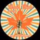 Radio Chinar logo
