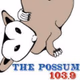 Logo de 103.9 The Possum - W280EI