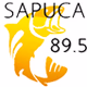 Logo de FM Sapucai