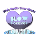 Logo de SLOW FOREVER