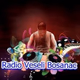 Logo de Radio Veseli Bosanac
