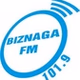 Radio BiznagaFM logo