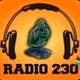 Logo de Radio230