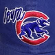 Logo de Iowa Cubs Baseball Network