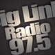 Biglink Radio logo