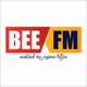 Logo de Bee FM