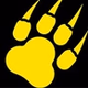 Wild Country logo