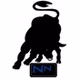 Nguni Nation FM logo