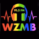 Logo de East Carolinas Alternative - WZMB