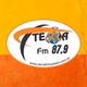 Rádio Terra FM logo