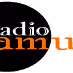 Radio Tamurt French logo