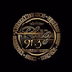 91.3 The Plug Radio logo