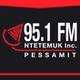 Radio Ntetemuk - CIMB FM logo