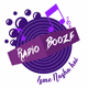 Logo de Radio Booze
