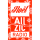 Logo de Allzic Radio - Noël