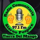 Radio Pespire logo