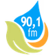 Rádio Líder 90,1 FM logo
