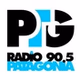 Radio Patagonia 90.5 logo