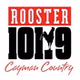 Rooster 101 logo
