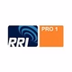 RRI - PRO1 Rimba Raya logo