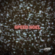 Speed Radio - Speed Noel logo