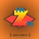 z95radio logo