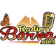 Logo de Radio Barva