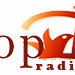 Logo de Yopel Services