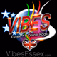 Logo de Vibes Essex UK