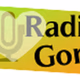 Radio Gorj logo