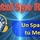 Mental Spa Radio logo