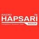 Logo de Hapsari FM