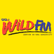 Logo de 99.1 Wild FM - DXRT
