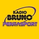 Pentasport logo