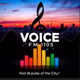 Logo de Voice FM 1105