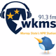 Logo de WKMS Classical - W223BO