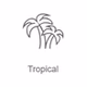 Radio Record - Tropical logo