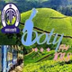 Logo de All India Radio - AIR Ooty