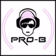 Radio Pro-B logo