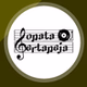 Rádio Sonata Sertaneja logo