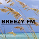 Logo de Breezy FM