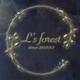 Ls Christmas logo