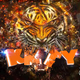 Logo de K.K.T.Y. Tiger Country Radio