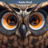 Radio Boof - Instrumental logo