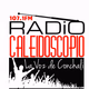 Logo de Radio Caleidoscopio