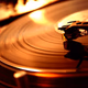 Logo de Musizman Radio - Da Grooves